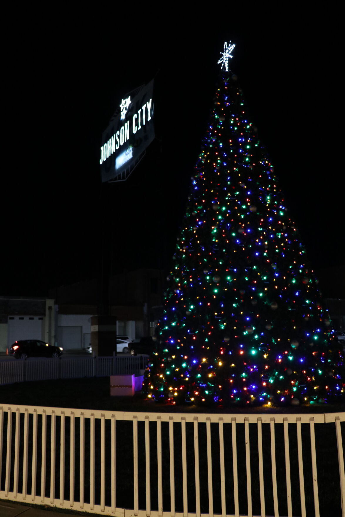 King Commons Tree